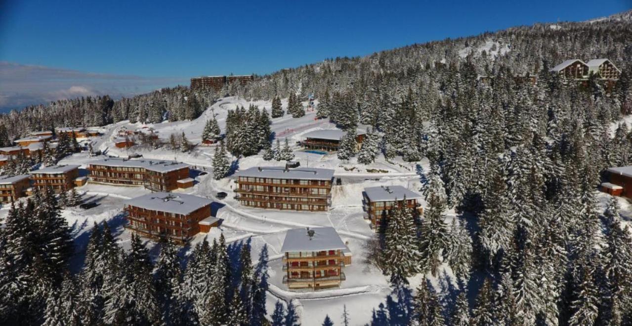 Le Cocon 4 Saisons A Chamrousse 1700 - Droseras A14 - Les Villages Du Bachat Esterno foto